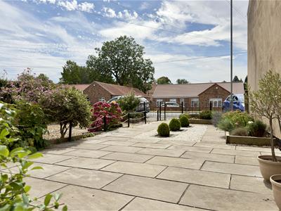 Picture 21